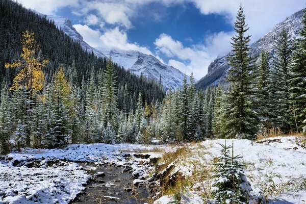 Winter fairy tale. Winter Street