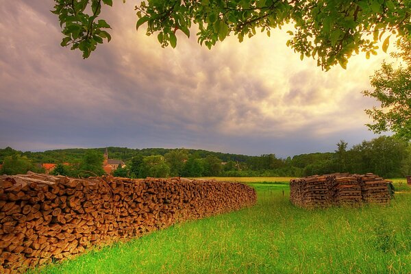 Abendlandschaft der Natur ist grün