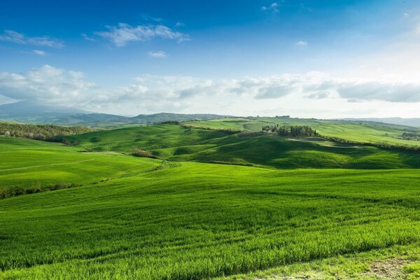 Landscapes of rural green fields