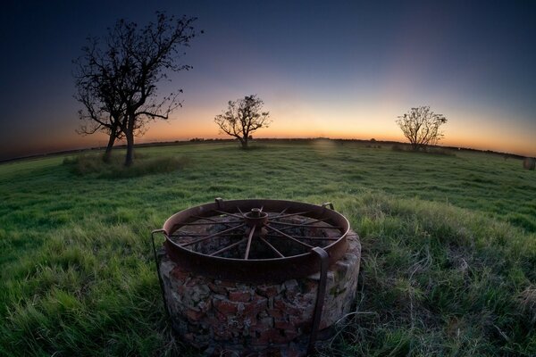 Sonnenuntergang in der Natur. Gras und Bäume