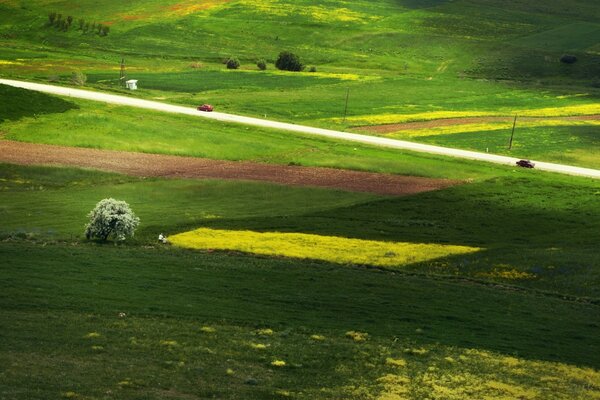 O caminho através do Campo Verde