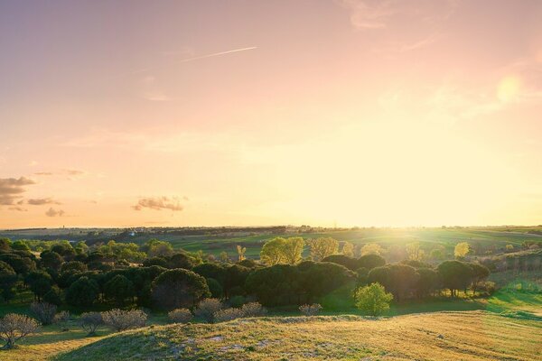 Landscape. Beautiful sunset on the field