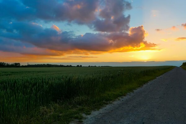 Puesta de sol en un camino rural sin gente