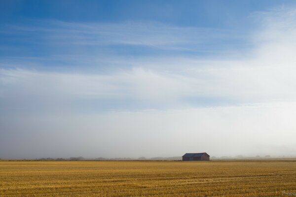 Endless fields against the sky