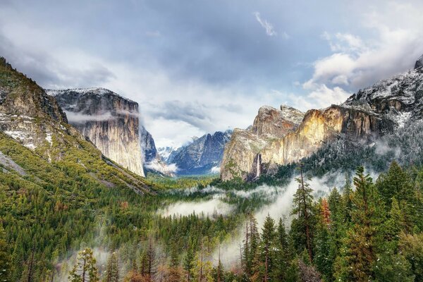 Yosemite National Park Forest Waterfall