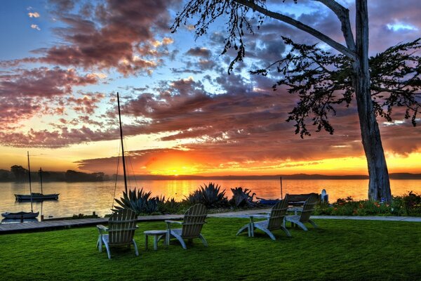 Evening landscape under a tree at sunset