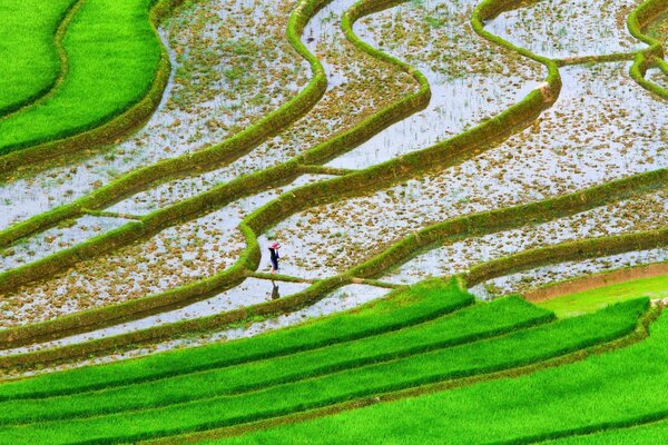 L homme marche sur les îlots verts