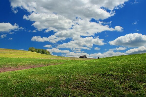 Schöner Horizont Feld Hintergrund