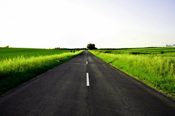 Beautiful rural road in the field