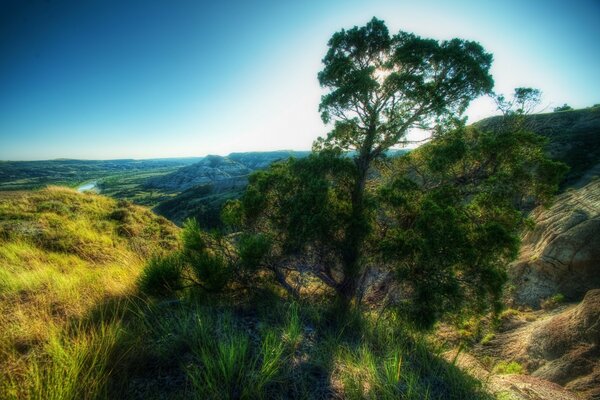 Green valley from the height of a mountain peak