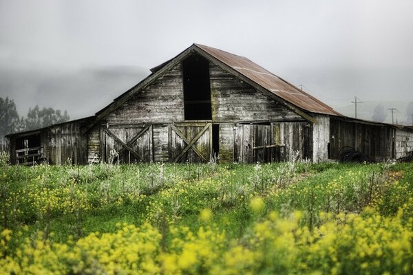 Abandoned farm, old rural barn