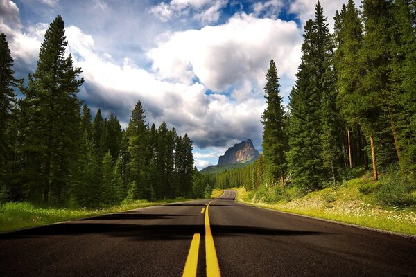 Cielo nuvoloso sopra la strada lungo gli alberi