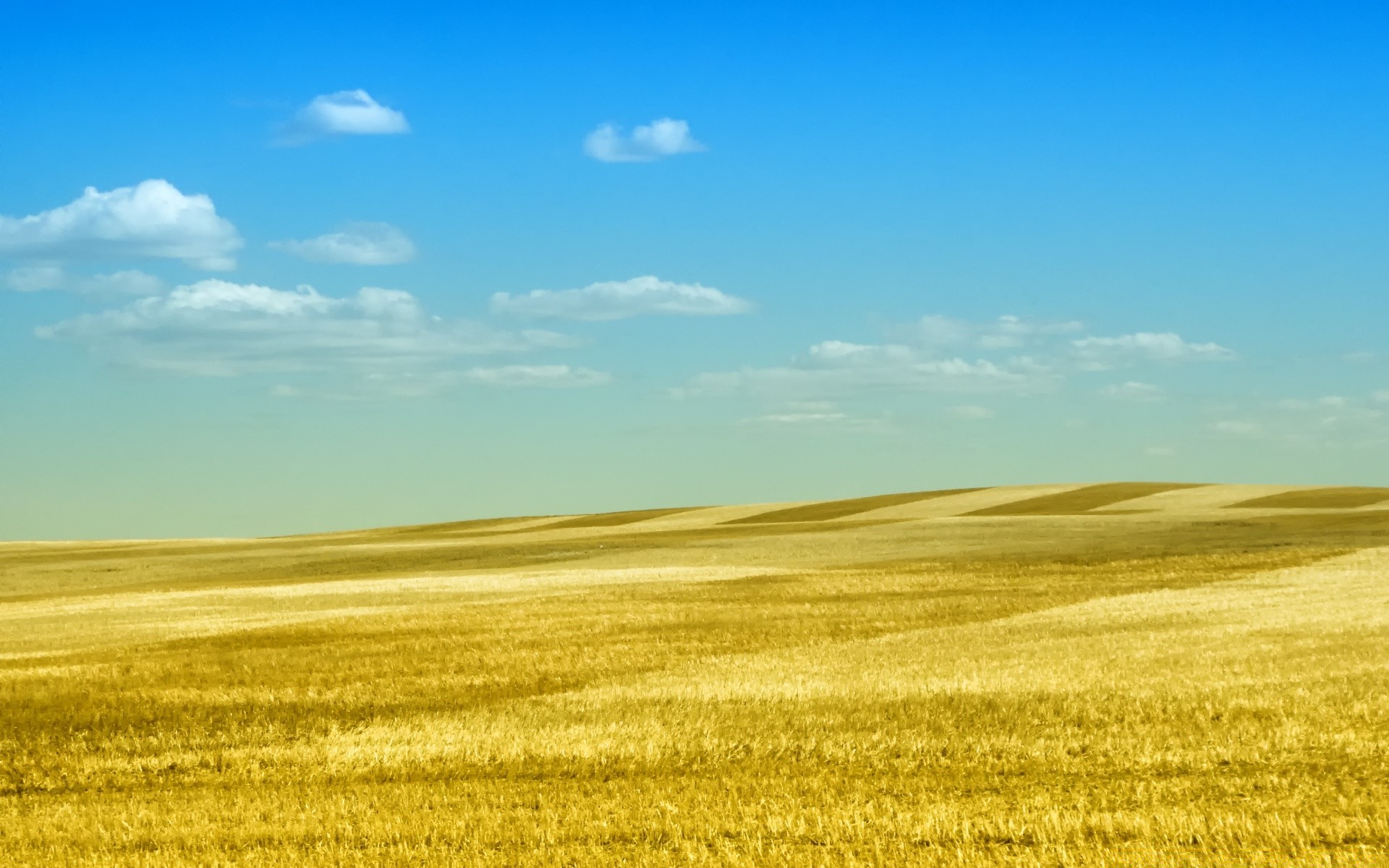 landscapes landscape field agriculture nature rural sky wheat farm summer countryside outdoors crop soil horizon fair weather pasture cropland farmland country