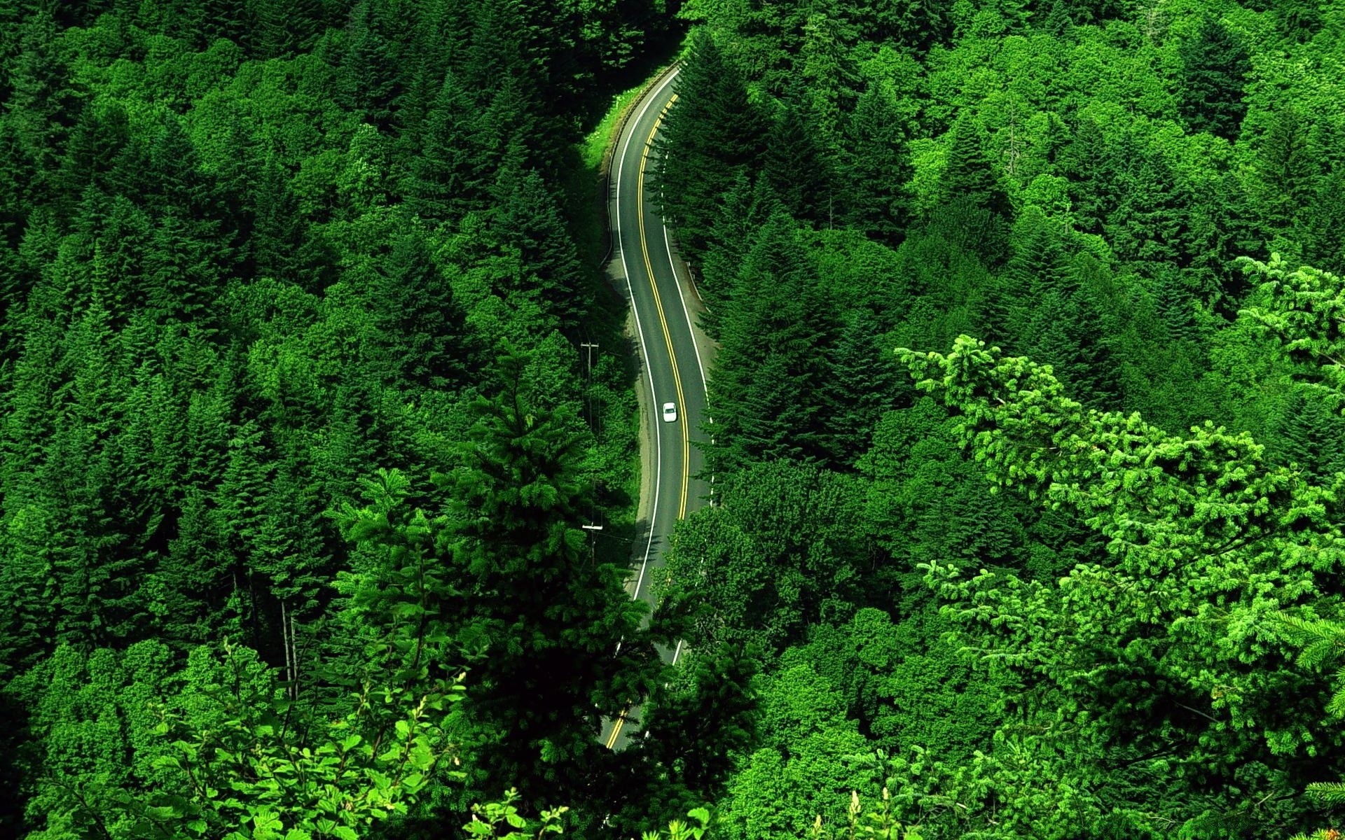 paisaje madera naturaleza árbol hoja paisaje al aire libre agua exuberante viajes verano medio ambiente