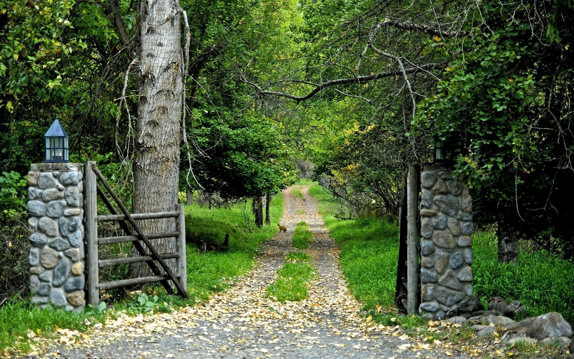 landscapes wood tree landscape nature leaf guidance outdoors grass rural flora summer road footpath travel wooden park stone fall trail