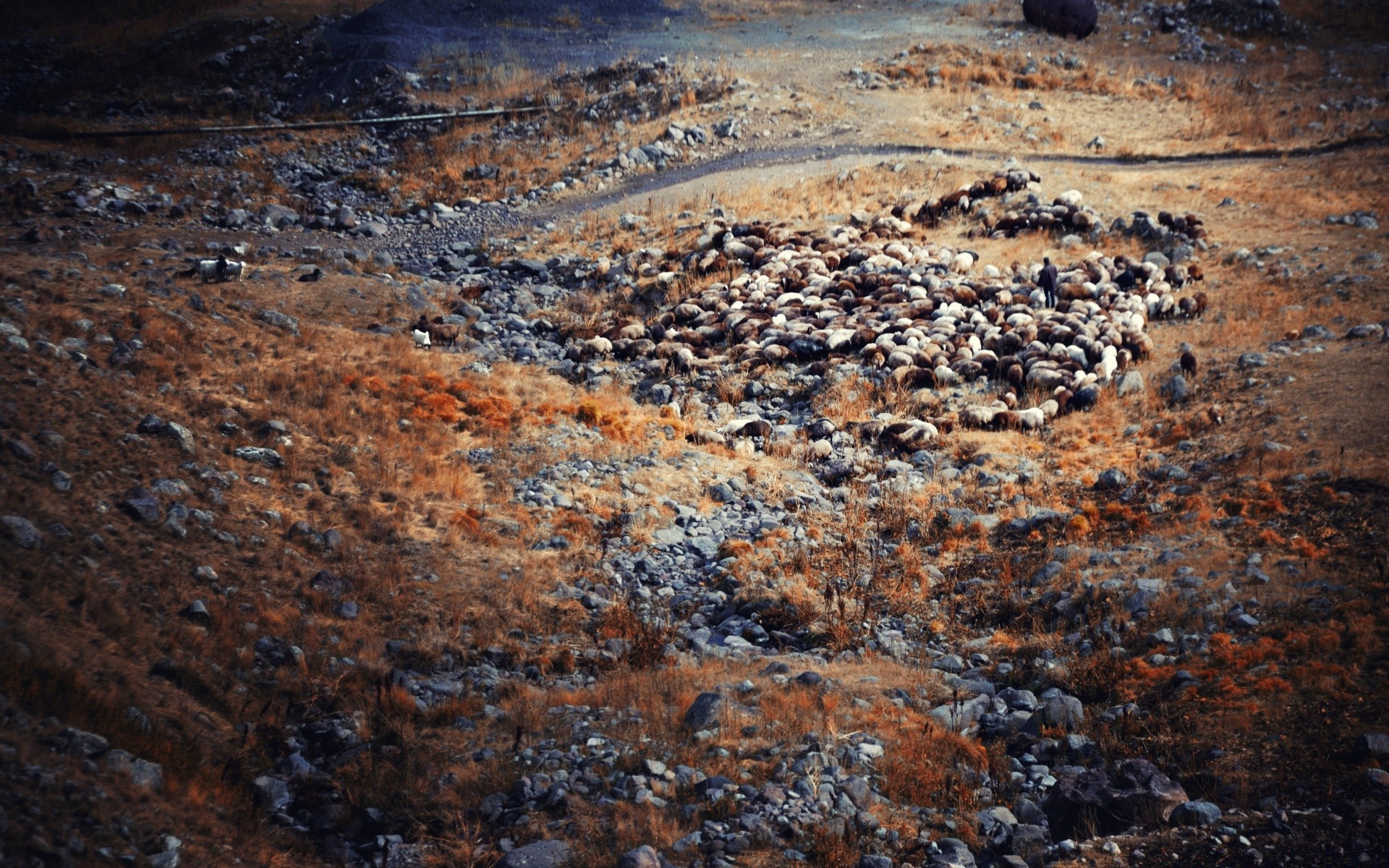 paysage rock bureau texture géologie sale modè le pierre nature volcan résumé