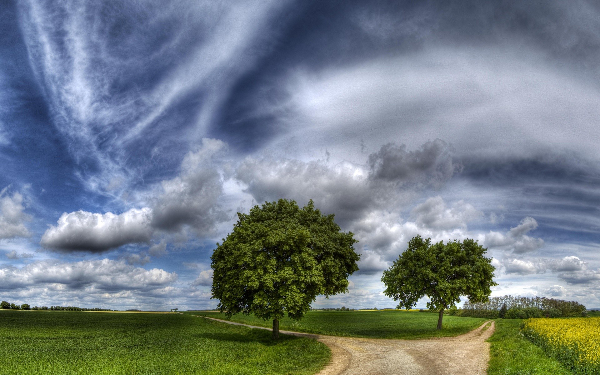 paesaggio tempesta natura cielo paesaggio erba all aperto pioggia rurale temporale tempo campagna drammatico estate nuvola albero sole moody tramonto bel tempo