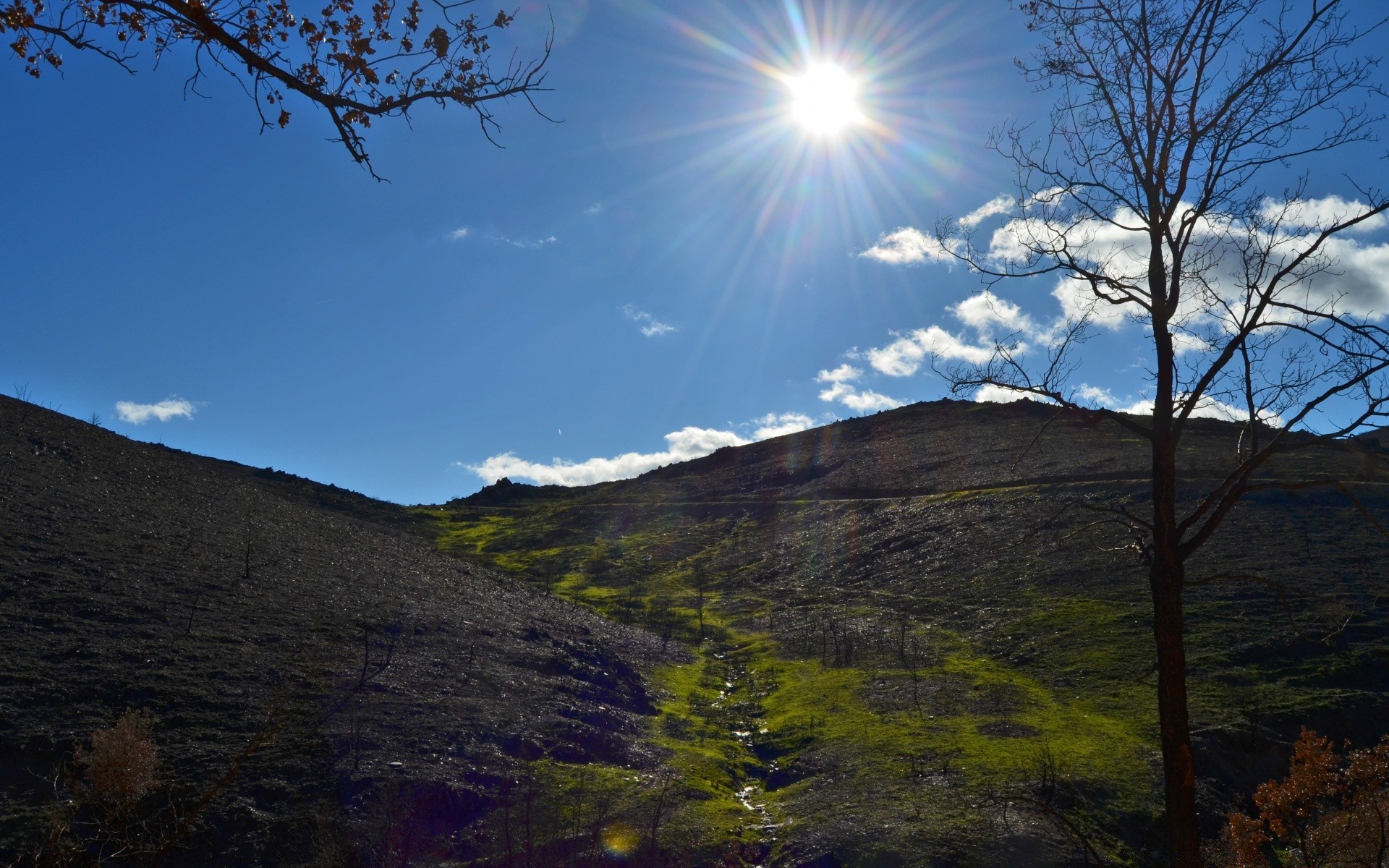 paisagens paisagem árvore montanhas natureza céu viagens ao ar livre madeira luz cênica bom tempo neve colina