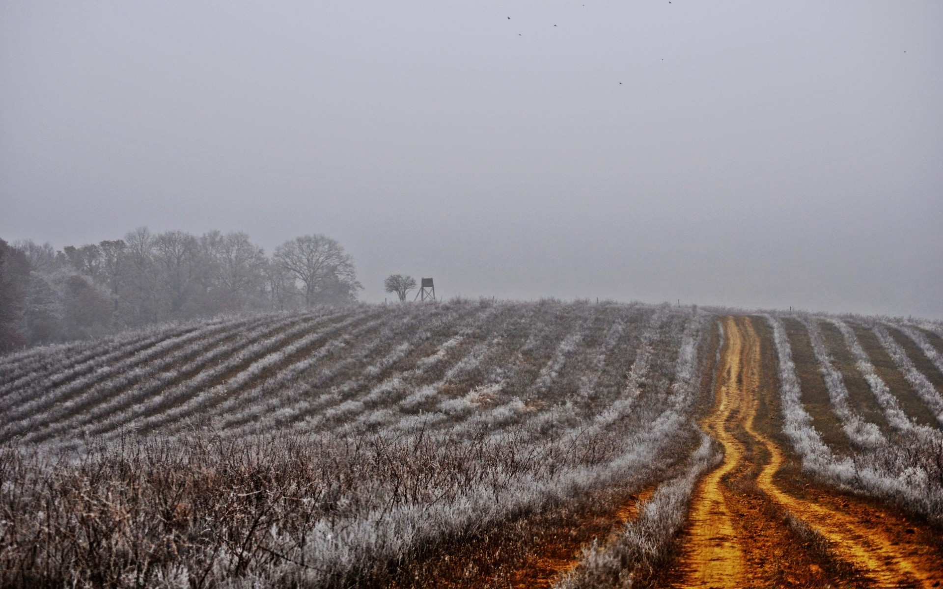 landscapes agriculture farm landscape field nature cropland crop soil outdoors rural road season countryside desktop environment sky scenic ground country