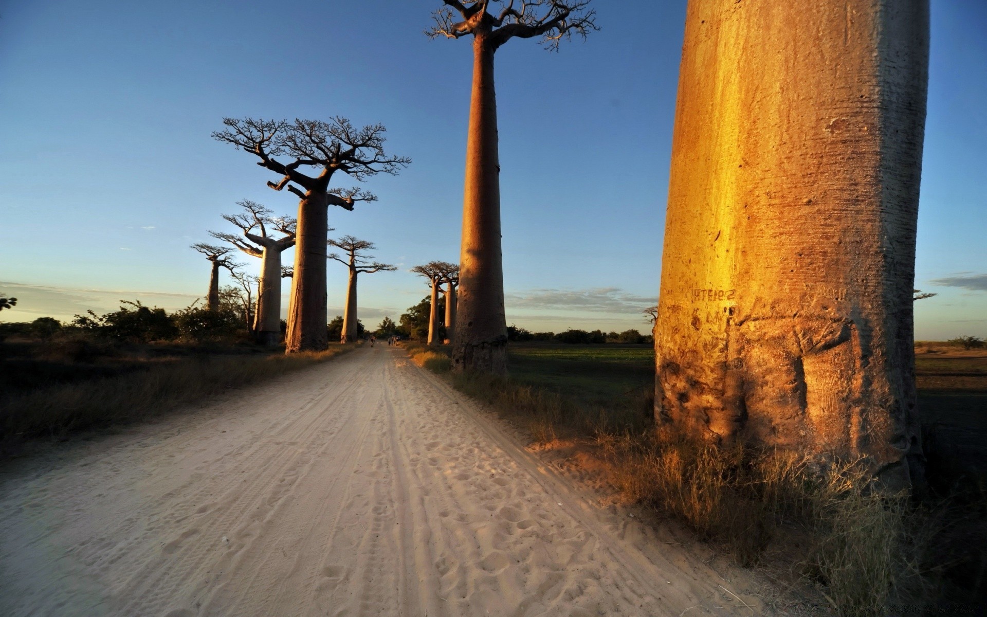 paysage à l extérieur ciel voyage nature arbre aube coucher de soleil paysage soir