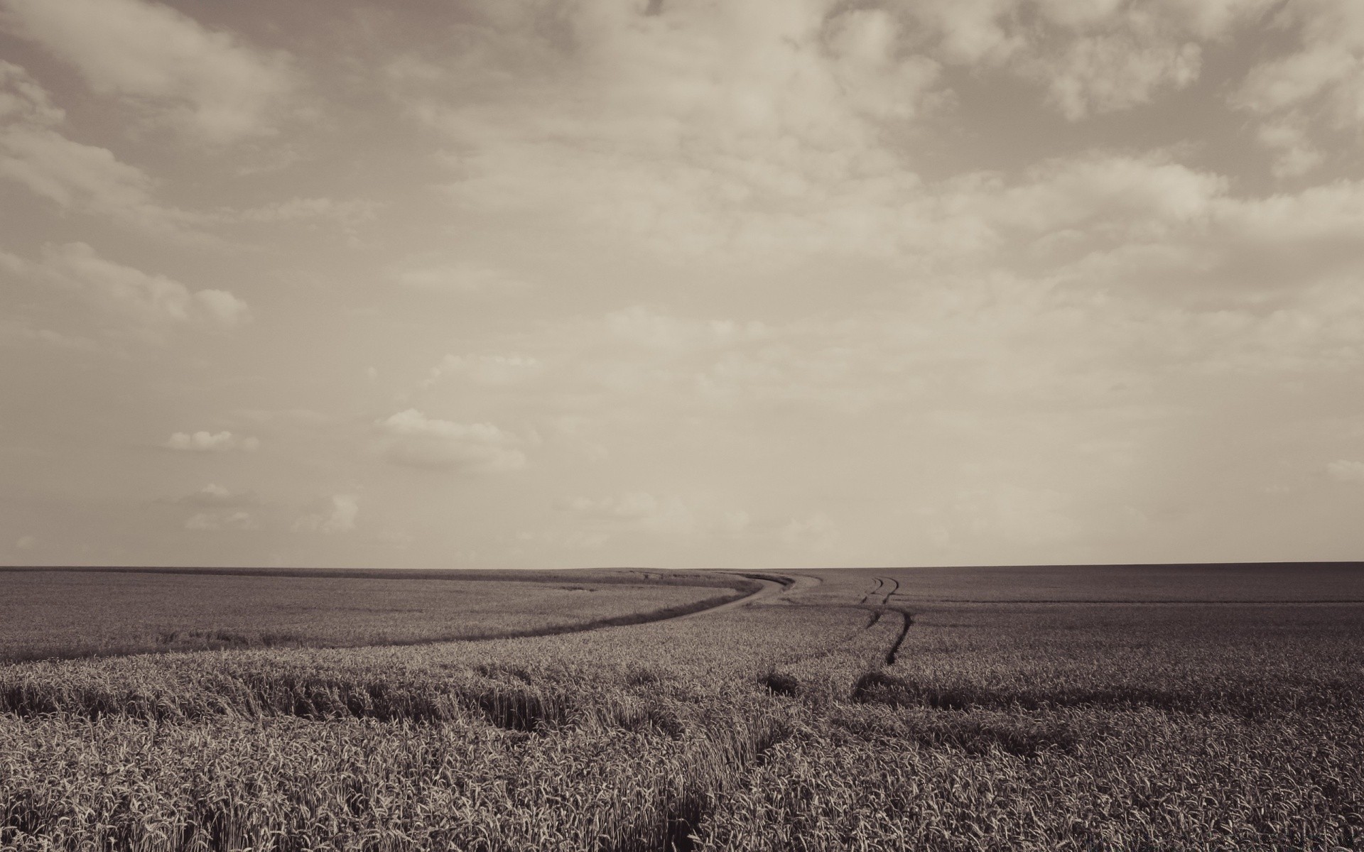 paysage paysage terres cultivées ferme agriculture champ ciel nature récolte monochrome météo tempête prairie à l extérieur