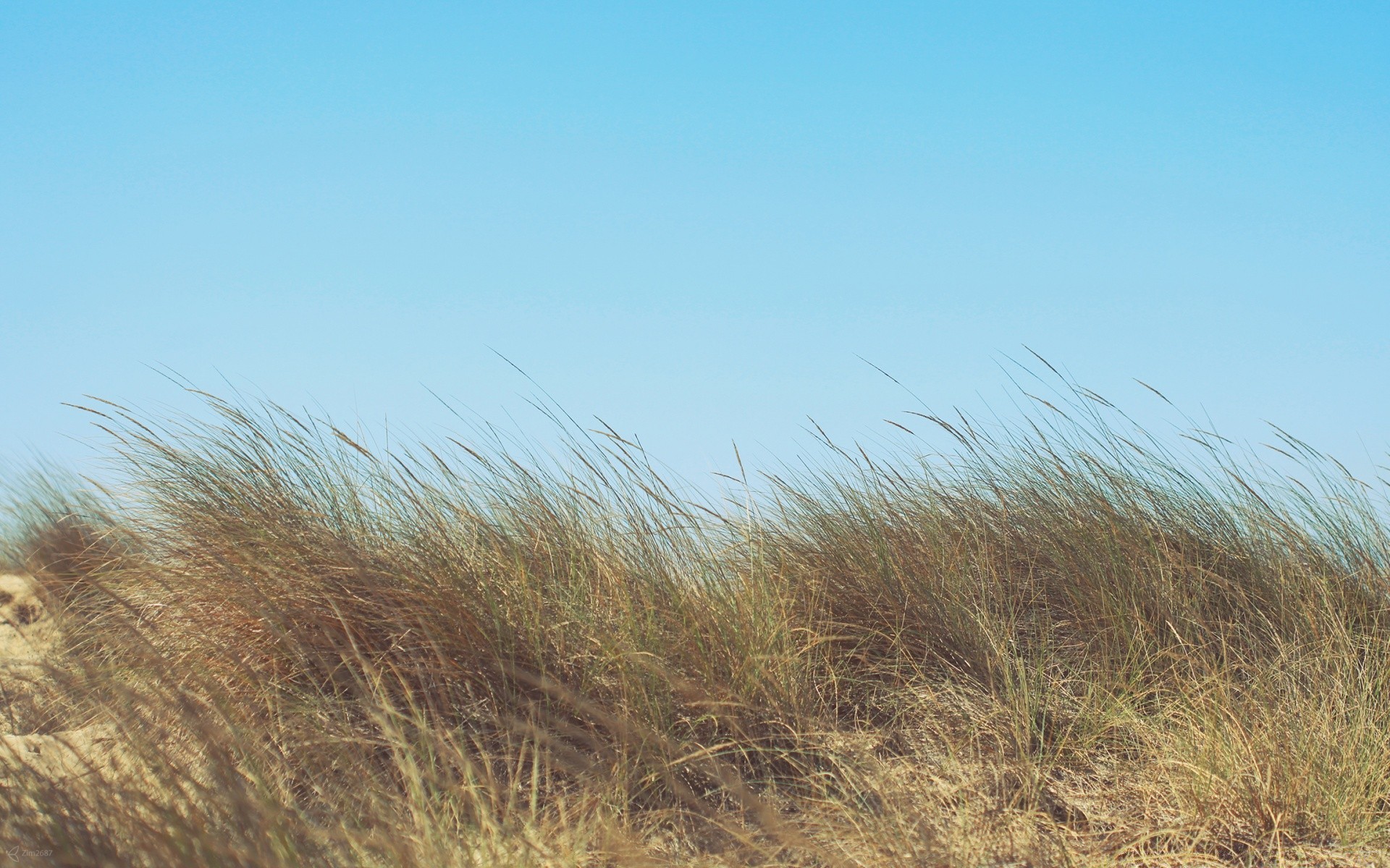 landschaft landschaft himmel natur gras sommer feld strand meer düne wasser sonne gutes wetter im freien wind flora umwelt baum farbe meer