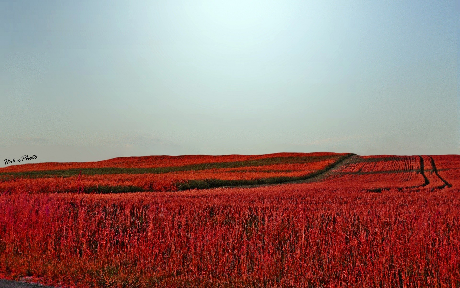 paysage à l extérieur terres cultivées agriculture paysage nature ciel aube