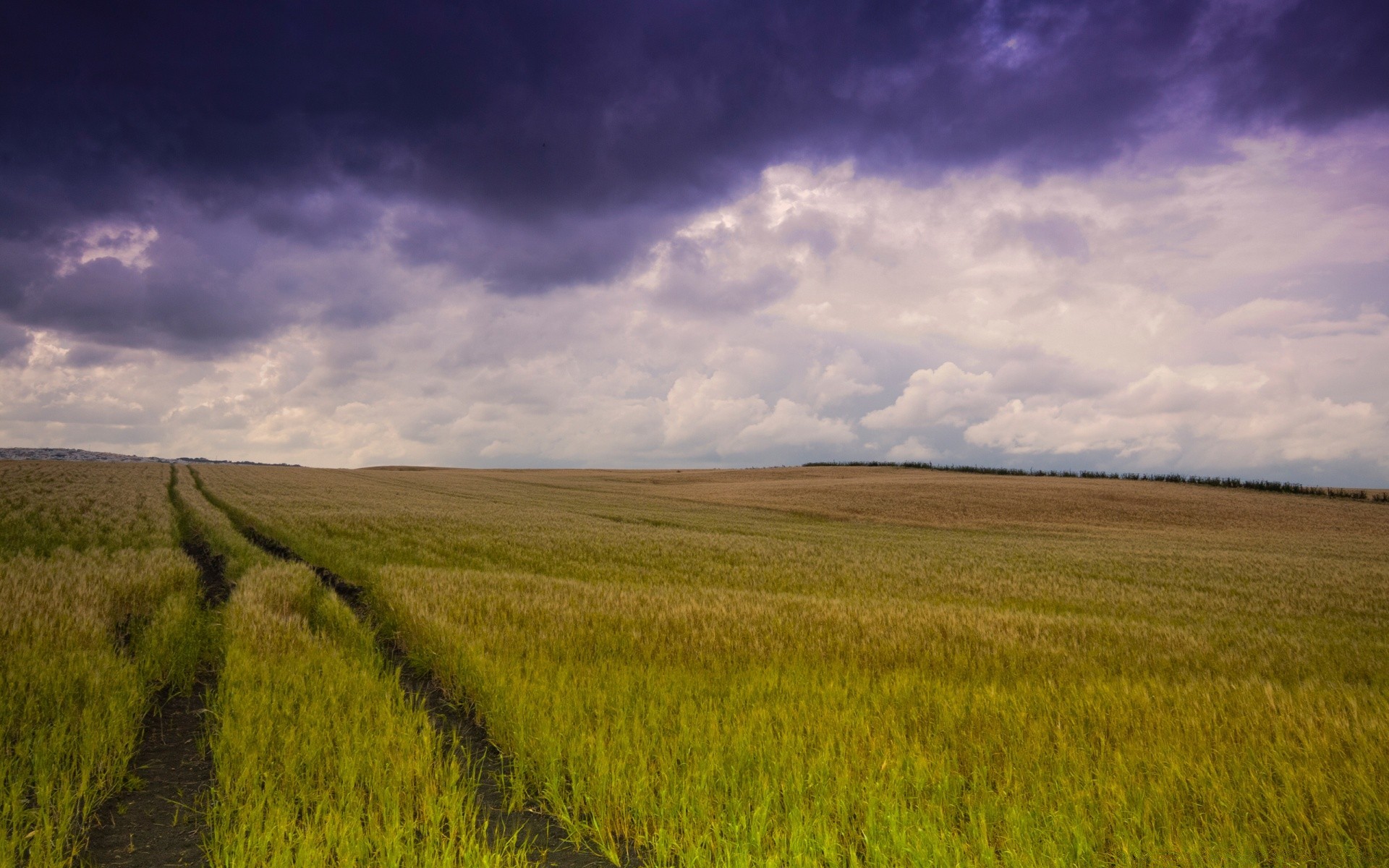 landscapes landscape agriculture cropland sky field farm outdoors countryside wheat nature crop rural pasture daylight grass cereal country grassland