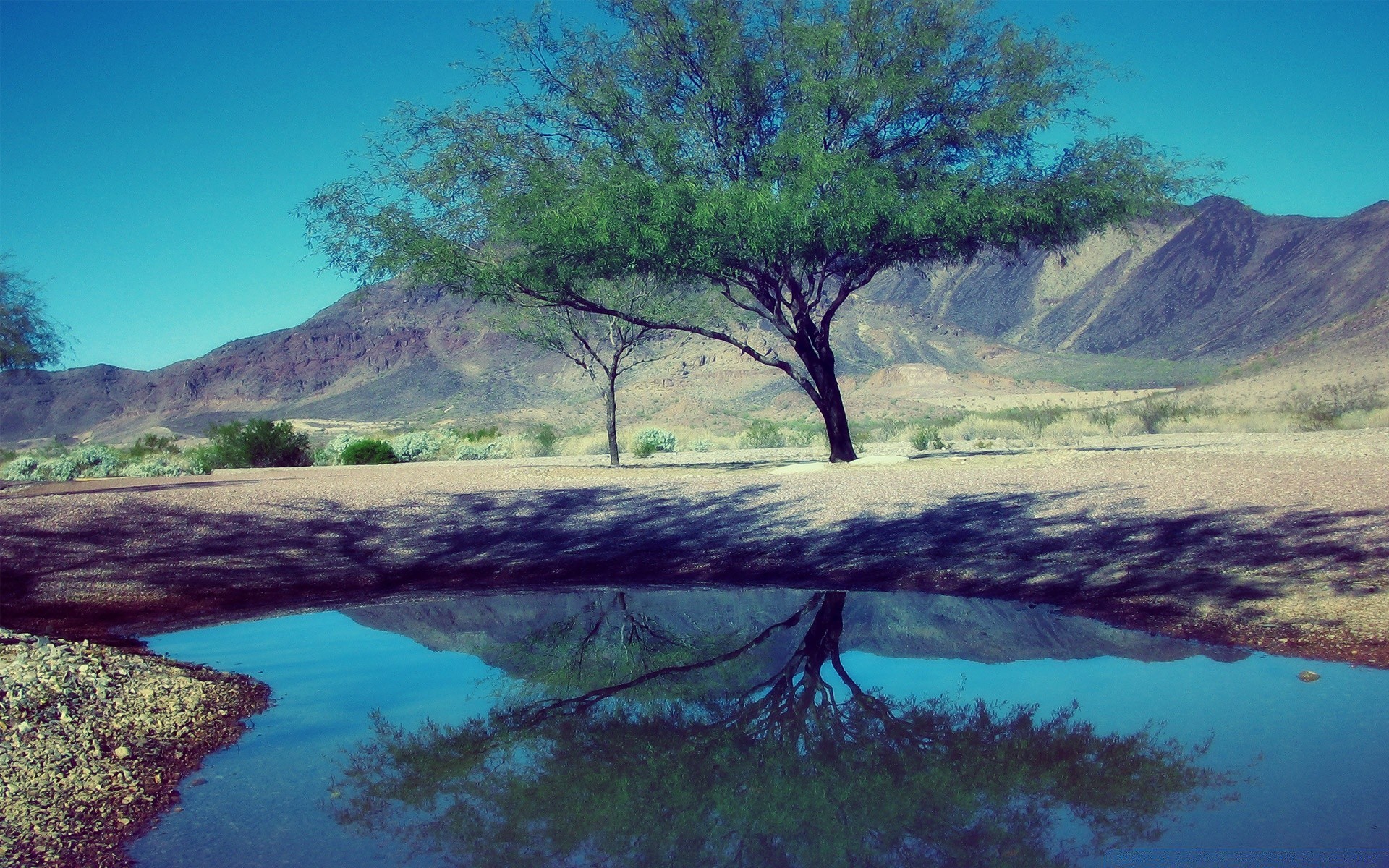 paisaje agua paisaje árbol viajes naturaleza escénico lago cielo mar isla río mar montaña al aire libre océano turismo reflexión roca luz del día