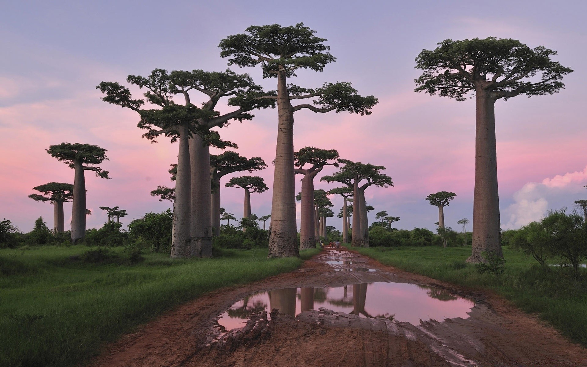 paisaje árbol viajes luz del día al aire libre amanecer arquitectura paisaje noche