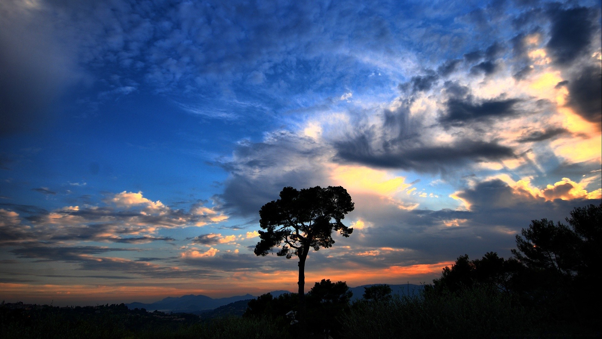 风景 日落 天空 黎明 景观 树 太阳 晚上 剪影 户外 自然 黄昏 好天气 光 背光