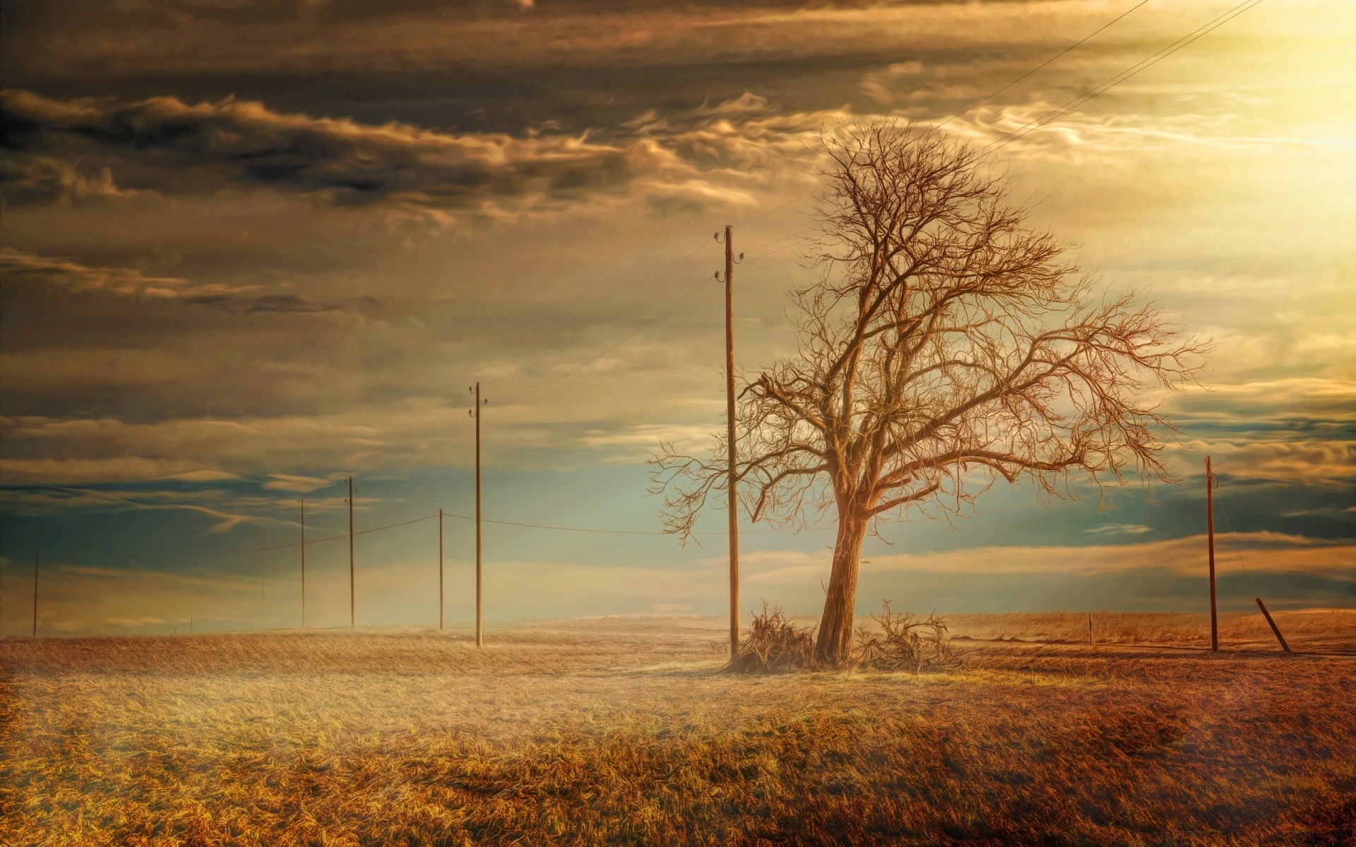 paisaje puesta de sol amanecer paisaje cielo naturaleza sol noche árbol crepúsculo silueta luz al aire libre