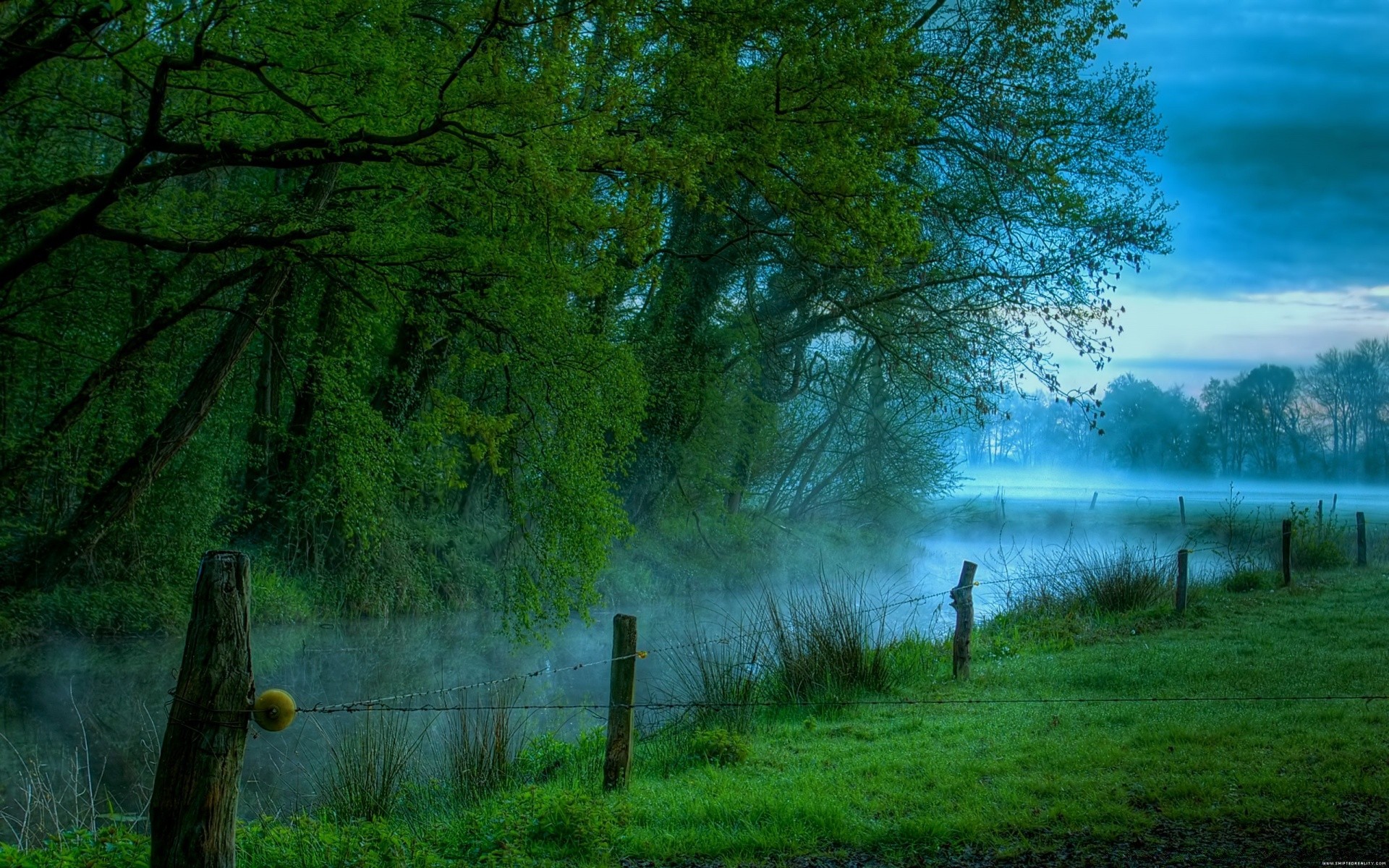 paysage aube paysage bois bois nature soleil à l extérieur brouillard lumière brouillard beau temps automne lac parc scénique coucher de soleil lumière du jour eau herbe