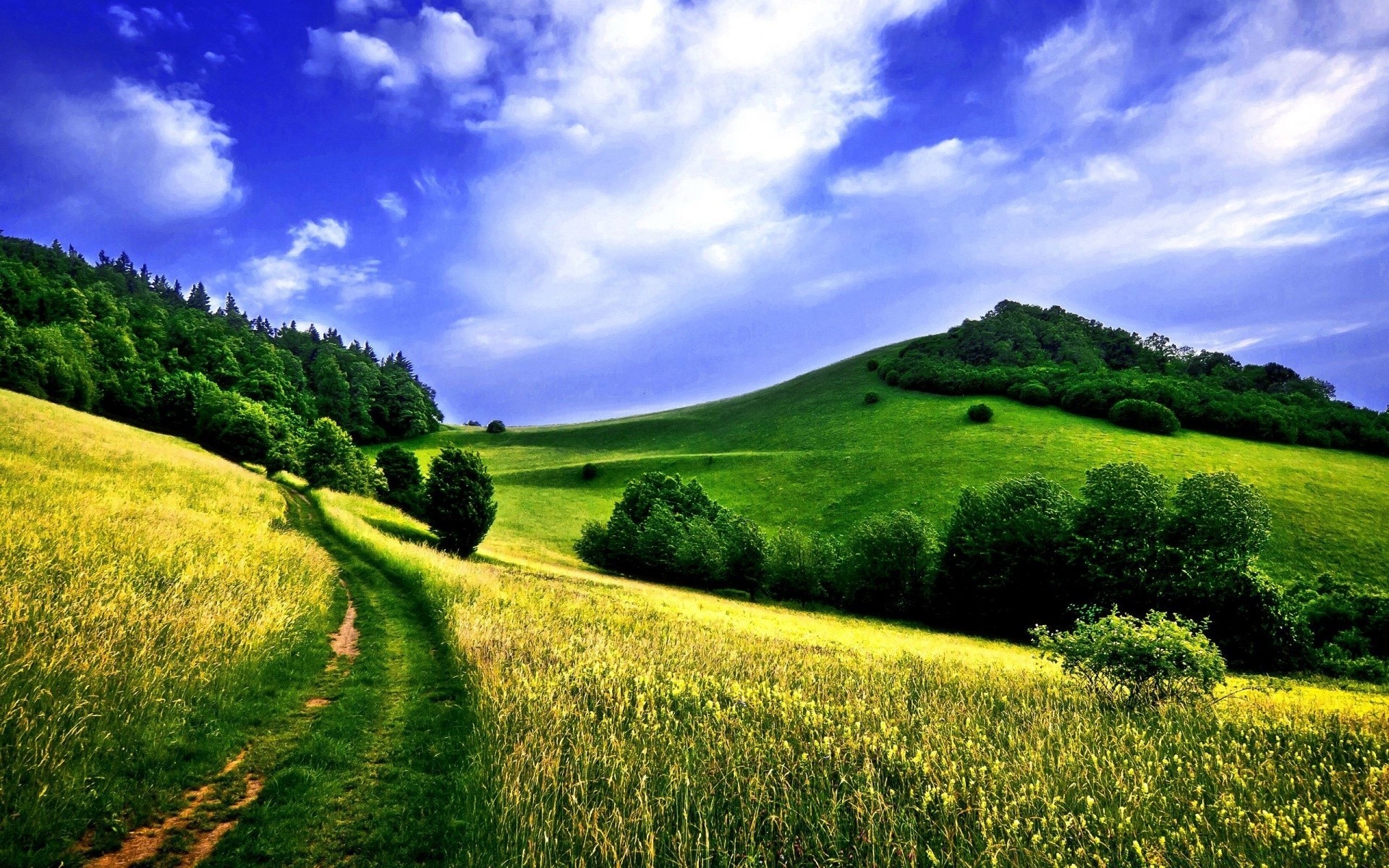 paesaggio paesaggio fieno rurale natura campagna cielo erba campo collina estate scenico agricoltura nuvola albero all aperto spettacolo paese pascolo orizzonte