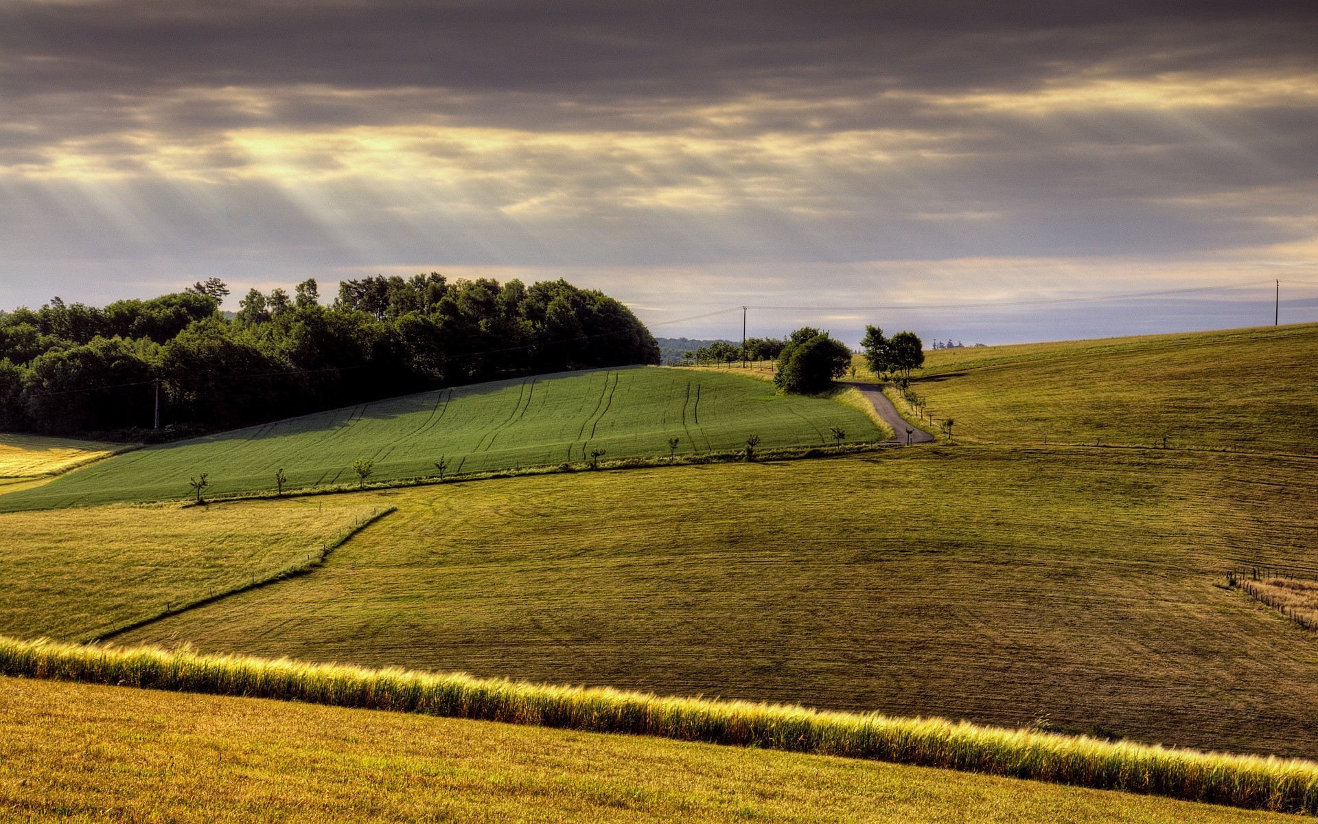 landscapes landscape agriculture field farm countryside sky tree rural nature hayfield grass cropland pasture country cloud sunset outdoors hill summer