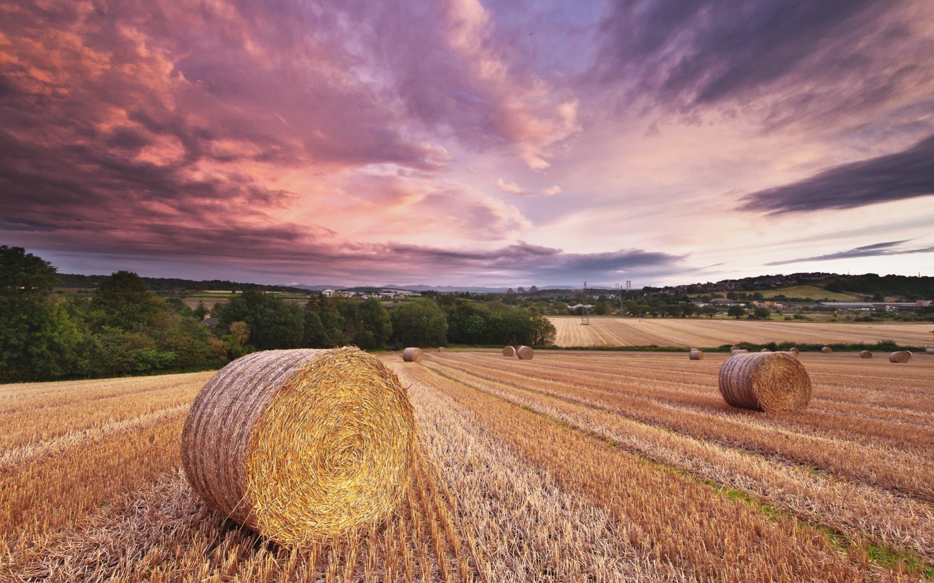 paisaje agricultura paja heno trigo campo rural granja cosecha paisaje pasto cereales bale tierra cultivada cielo campo centeno país naturaleza al aire libre