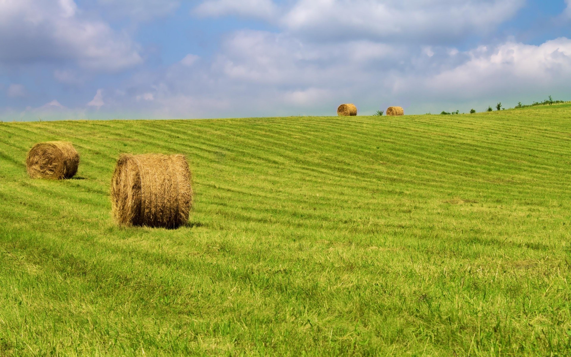 landschaft weide des ländlichen heu landwirtschaft landschaft bauernhof landschaft stroh feld gras weizen bale ackerland heu himmel natur sommer land flocken