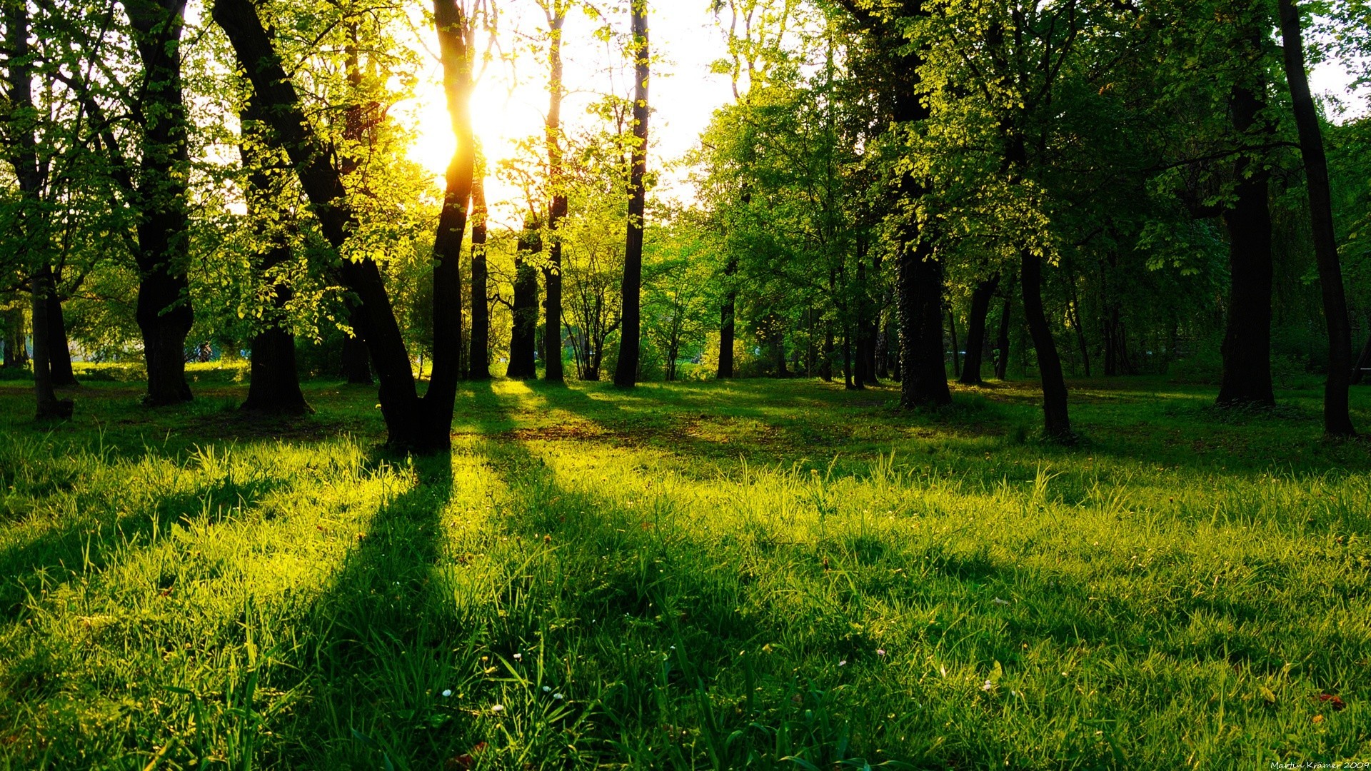 landschaft landschaft natur park gras sonne baum gutes wetter saison mittwoch dämmerung landschaftlich holz hell sommer landschaft blatt heuhaufen rasen schauspiel ländlich