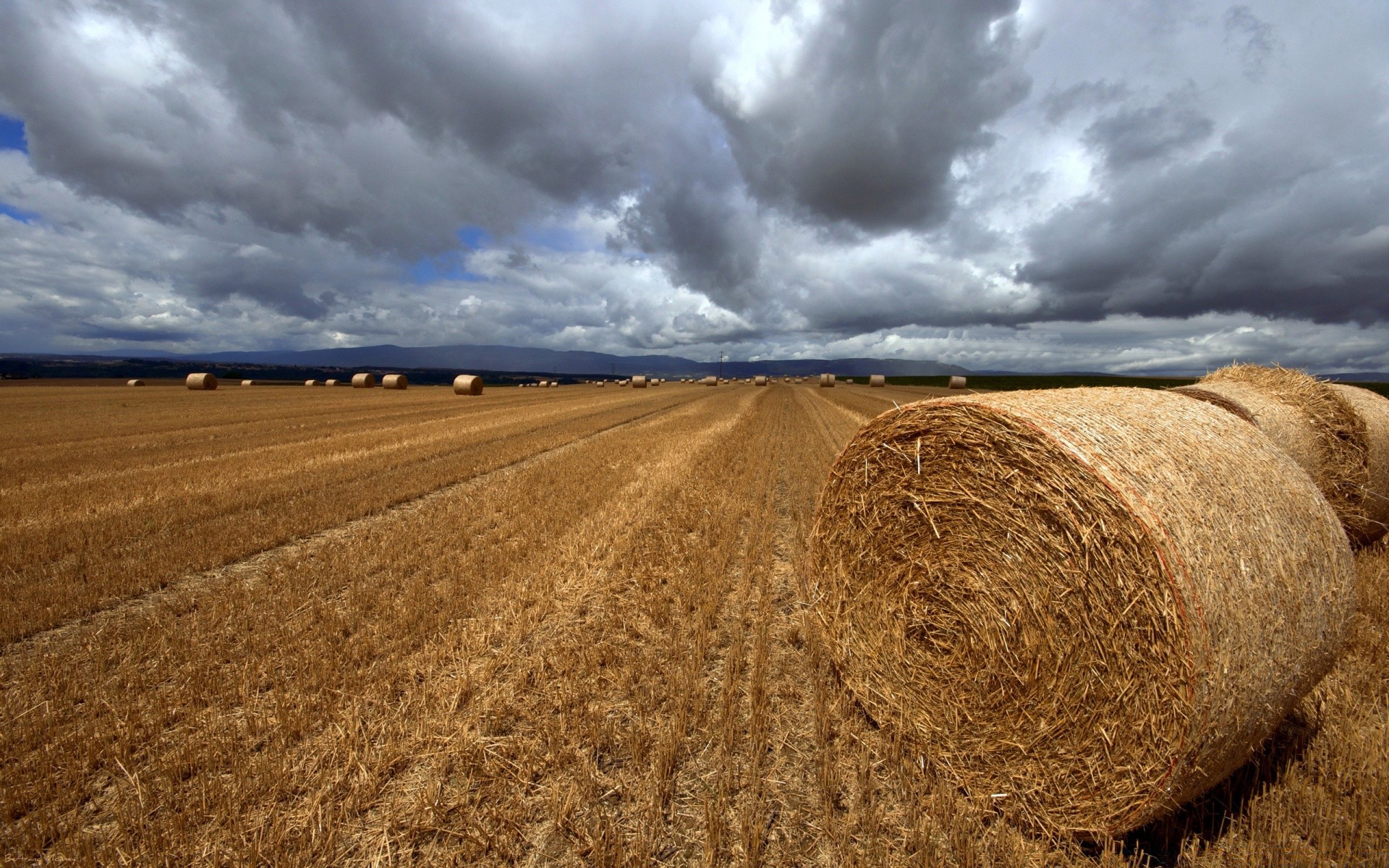 landscapes wheat agriculture cereal straw pasture landscape sky rural hay rye crop corn nature farm countryside outdoors cloud field soil