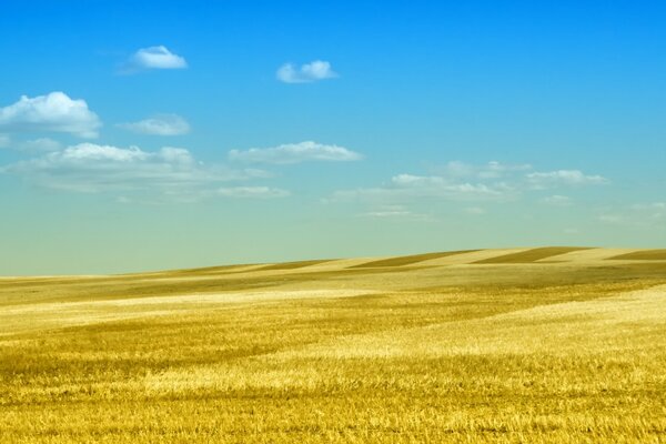 Landscape background yellow serenity