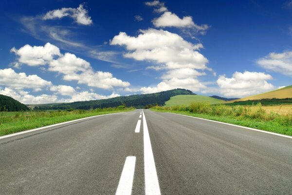 Highway landscape in summer