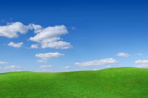 Синее небо с белыми облаками над ярко-зеленой травой