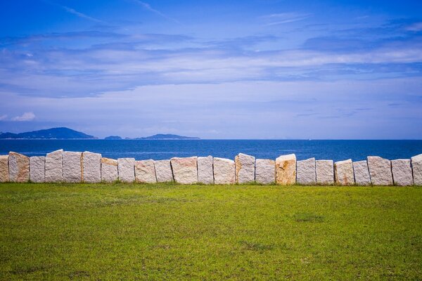 Grünes Gras und blauer Himmel