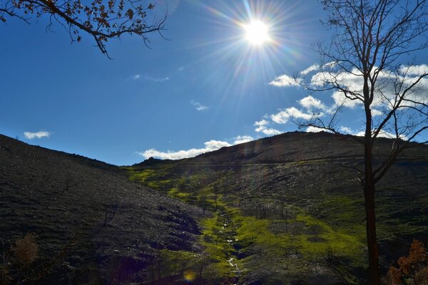 Morning landscape in the mountains