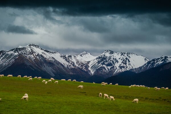 Pastorale Landschaft mit schneebedeckten Bergen