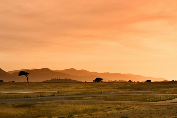 Desert landscape in the rays of sunset