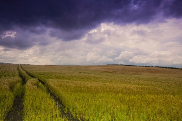 Antes de la tormenta en el campo