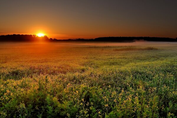 Paisaje puesta de sol