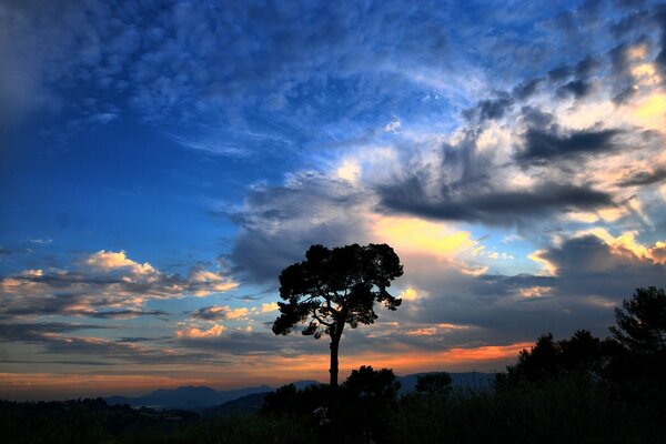 Landschaft im Morgengrauen in den Wolken