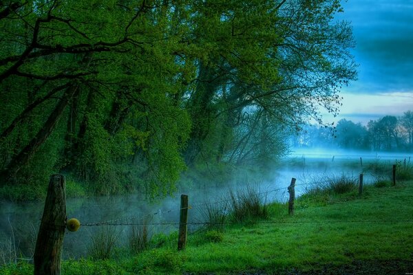 Amanecer en un Prado verde